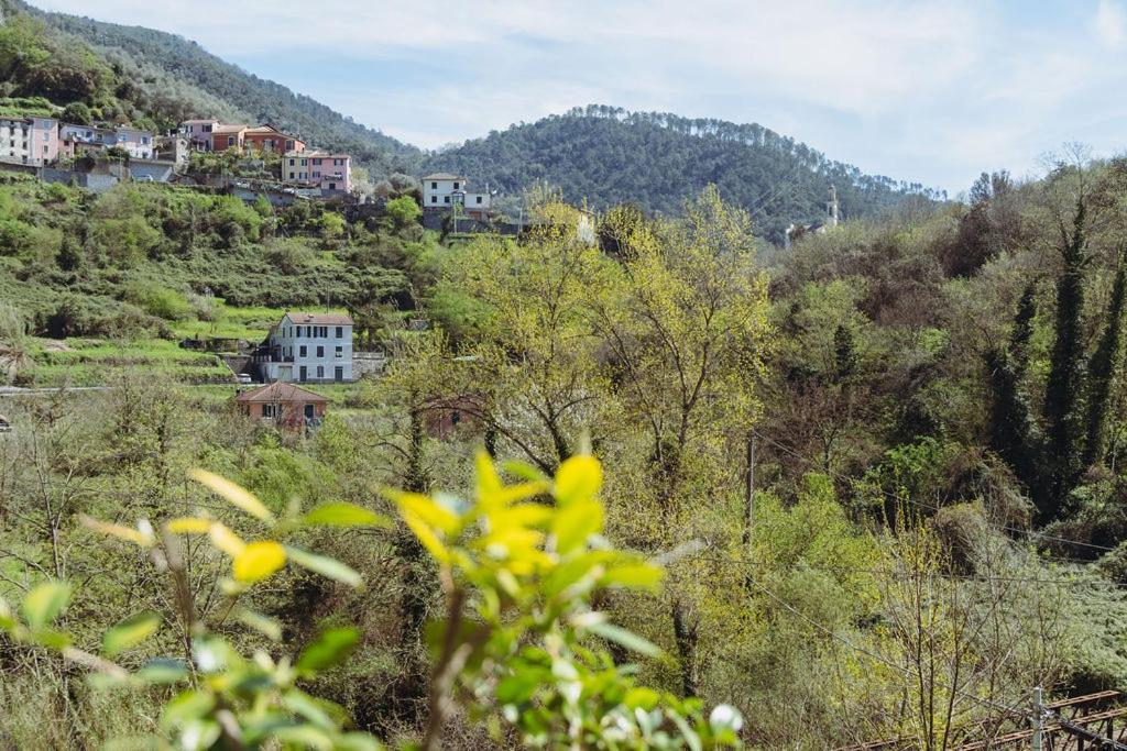 Apartament Residenza Nemus Mare E Montagna Graveglia Zewnętrze zdjęcie